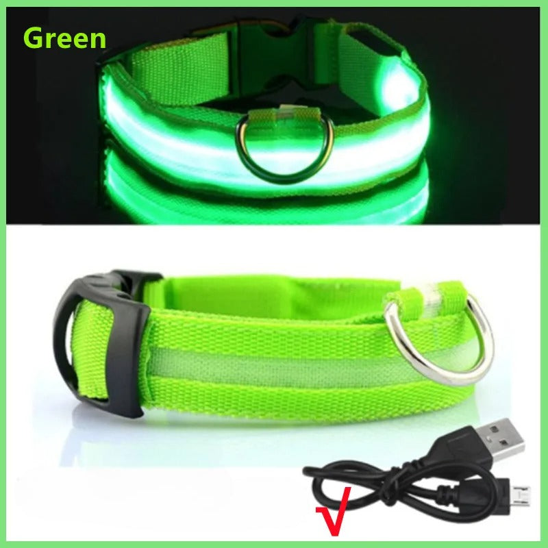 USB Rechargeable LED Glowing Pet Collar (Adjustable)