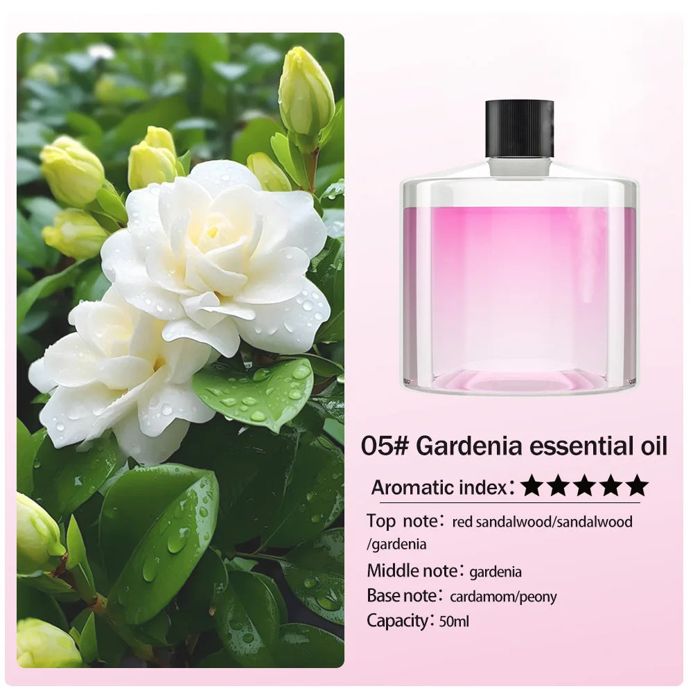 Rechargeable 7 color light Star Light 5 speed portable car Aromatherapy machine Essential oil diffuser Home Air Purifier Pro