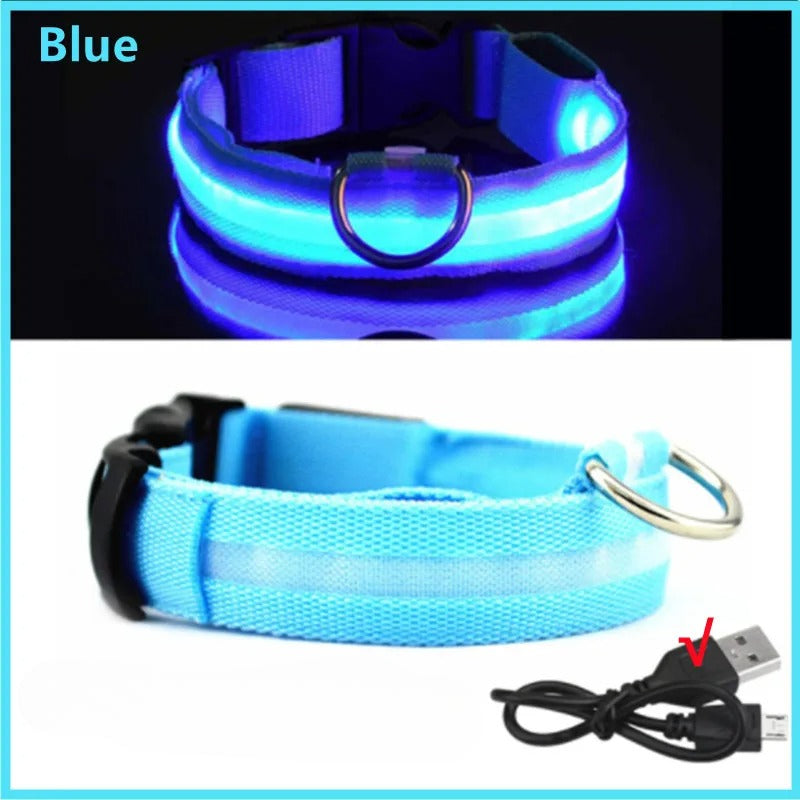 USB Rechargeable LED Glowing Pet Collar (Adjustable)