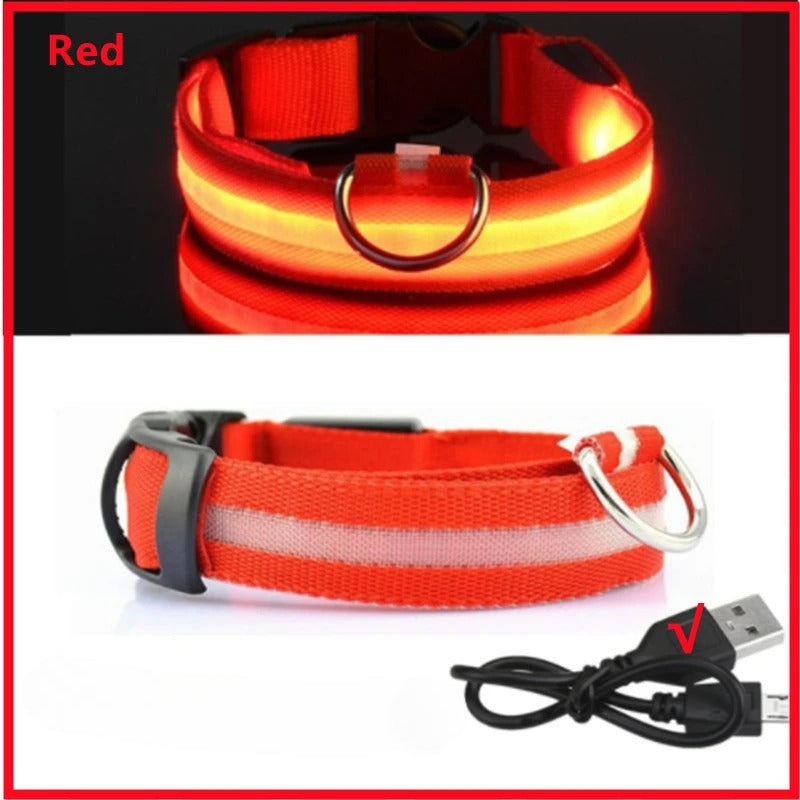 USB Rechargeable LED Glowing Pet Collar (Adjustable)