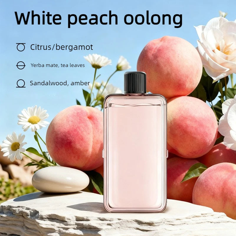 Automatic Air Freshener Aromatherapy Machine | 6 Adjustable Levels & Long Battery Life Essential Oil Diffuser