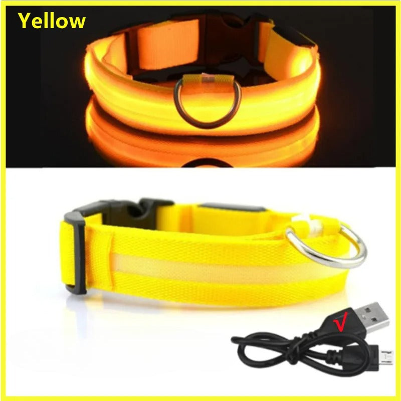 USB Rechargeable LED Glowing Pet Collar (Adjustable)
