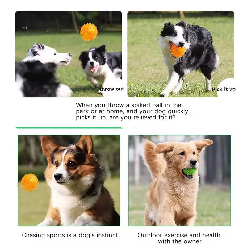 Durable squeaky spiked dog ball for teeth cleaning and play.