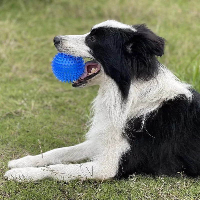 Durable squeaky spiked dog ball for teeth cleaning and play.