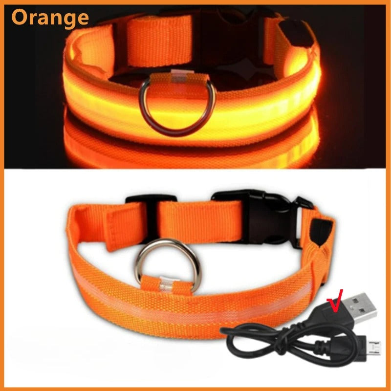 USB Rechargeable LED Glowing Pet Collar (Adjustable)