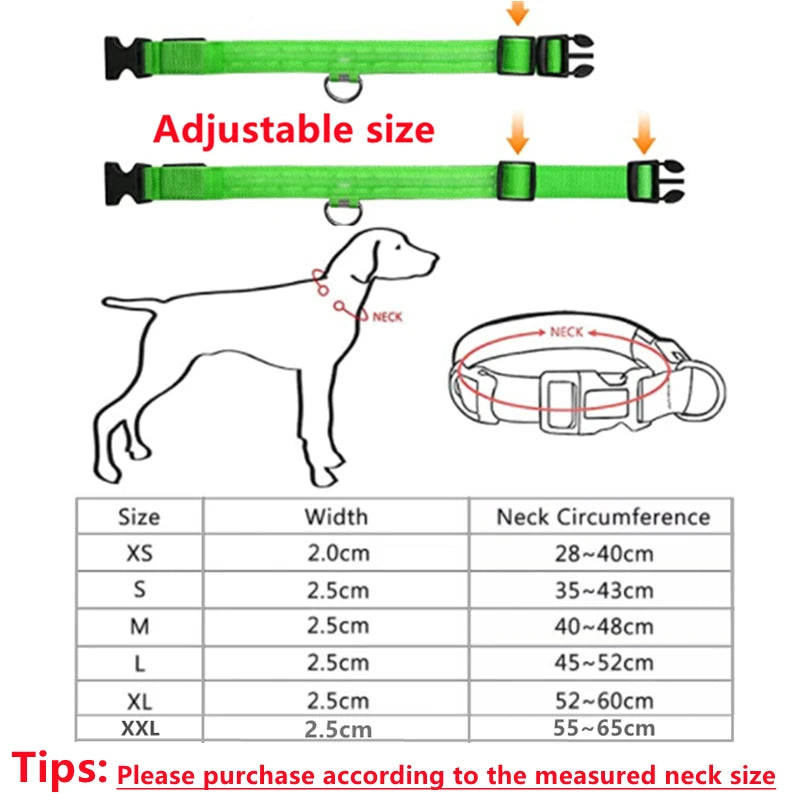 USB Rechargeable LED Glowing Pet Collar (Adjustable)