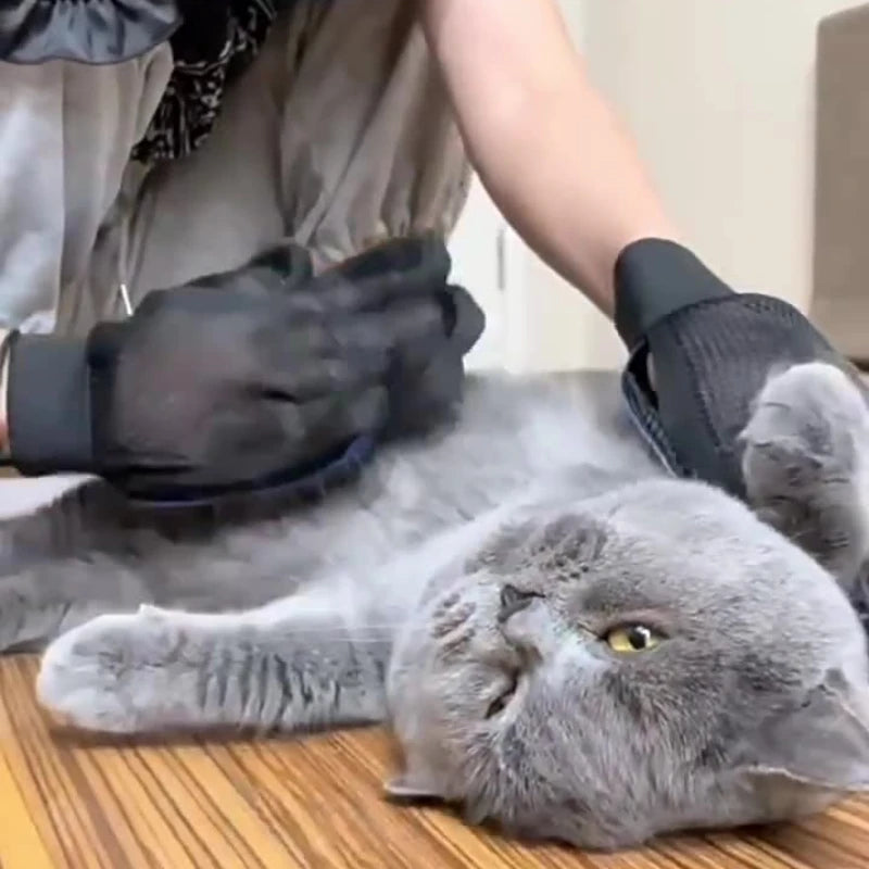 Silicone Pet Grooming Gloves – Hair Brush & Remover for Dogs & Cats